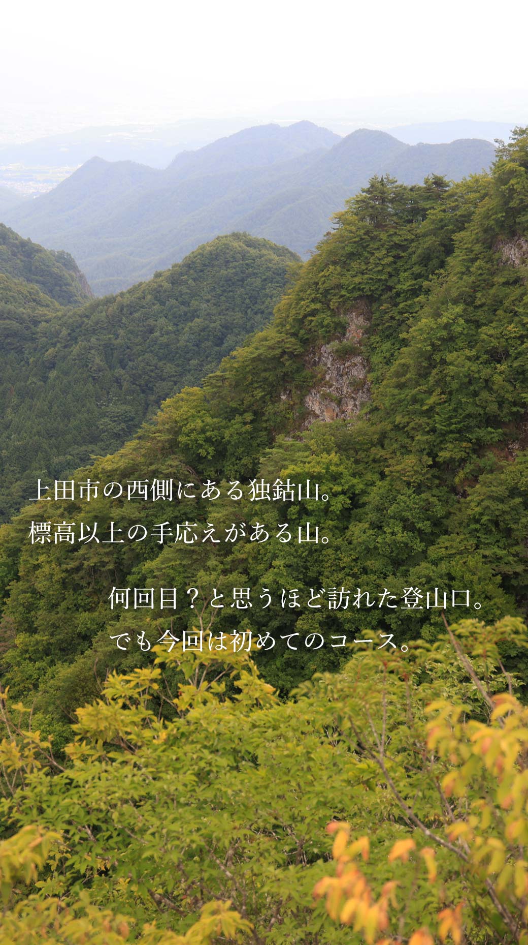 独鈷山 帰望峰