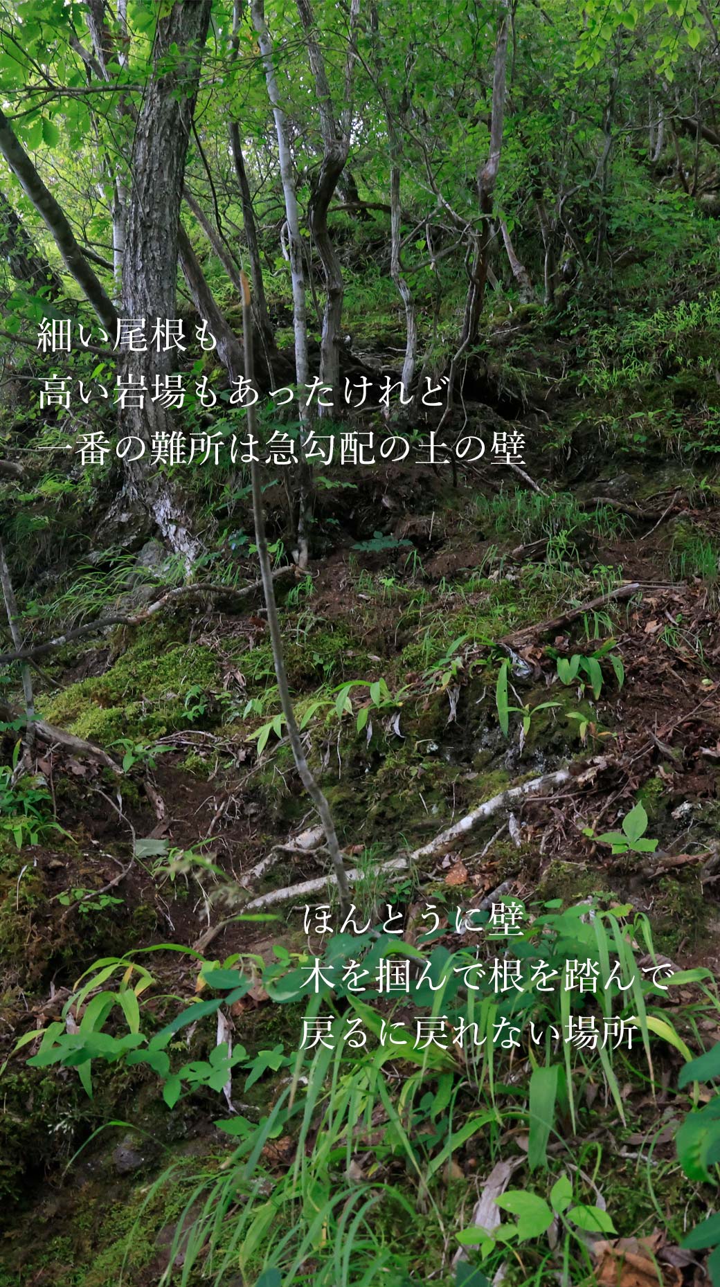 独鈷山 帰望峰
