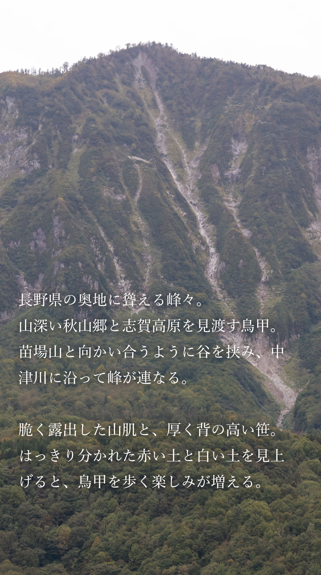 鳥甲山 屋敷口
