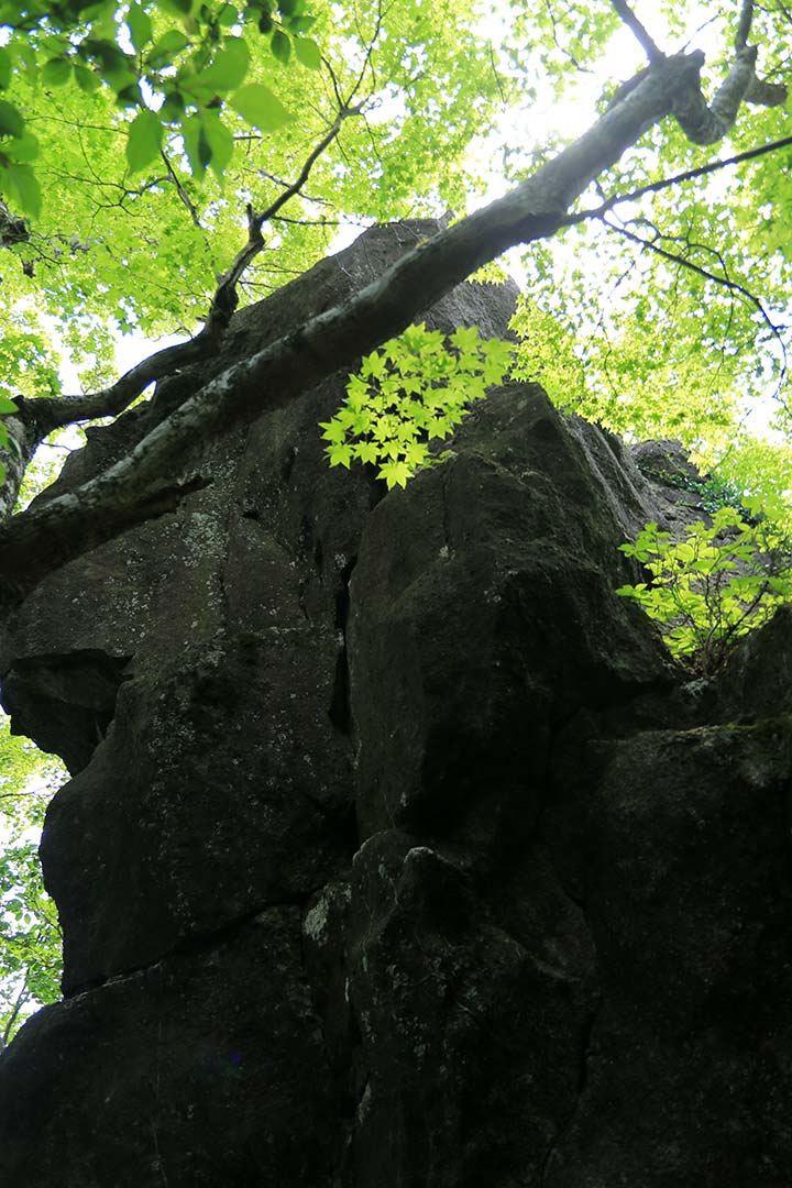 筑波山（白雲橋コース） （5月）｜巨岩の並ぶ子供や初心者にもお勧めの登山道