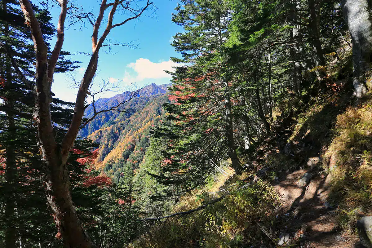 空木岳登山 空木岳-紅葉が良い感じ