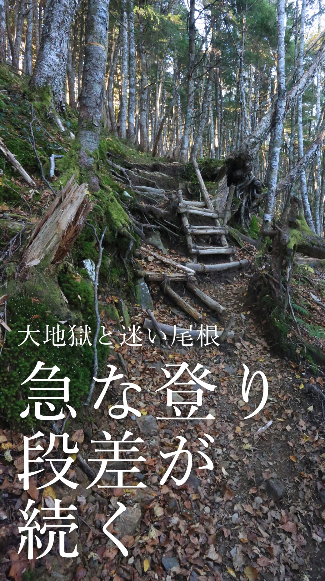 空木岳 池山尾根