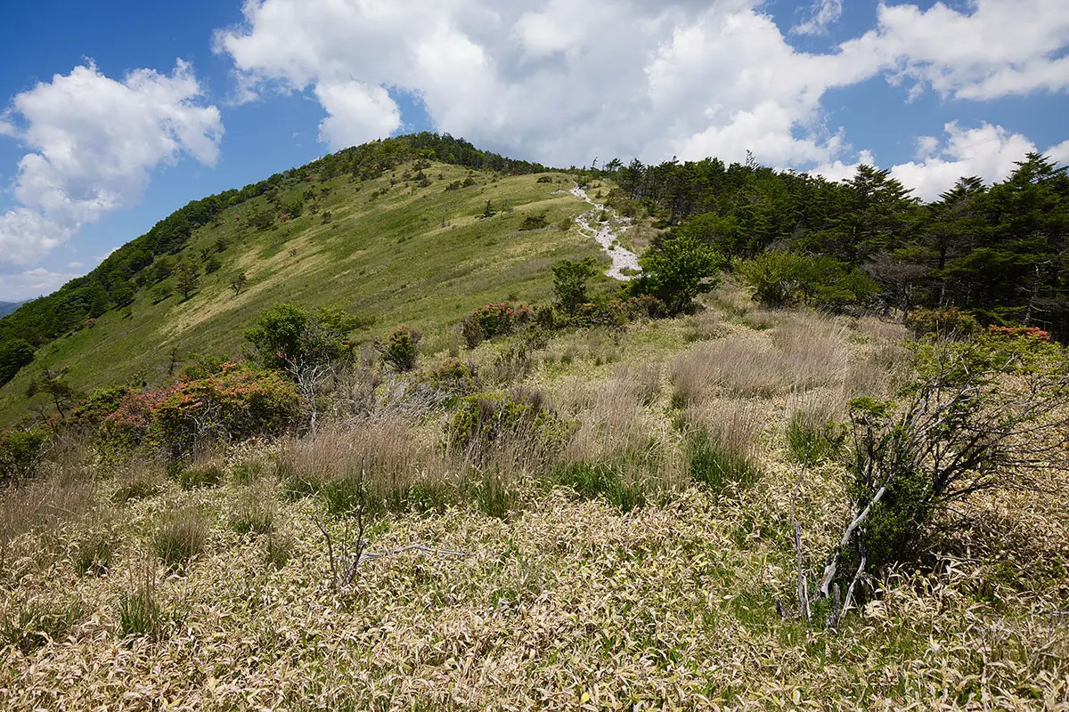 霧ヶ峰登山 霧ヶ峰-テレビCMで見た斜面が目の前に