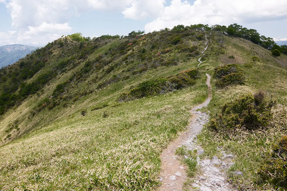 霧ヶ峰登山 霧ヶ峰-山頂への稜線歩き