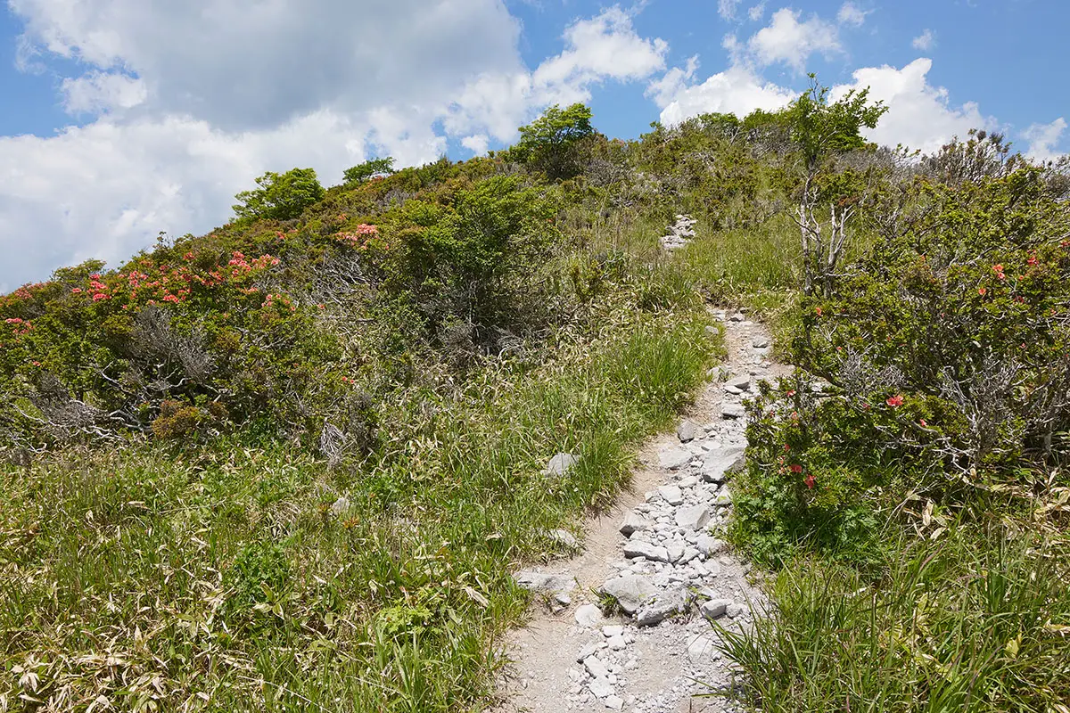 霧ヶ峰登山 霧ヶ峰-ピークを下りてからの登り返し