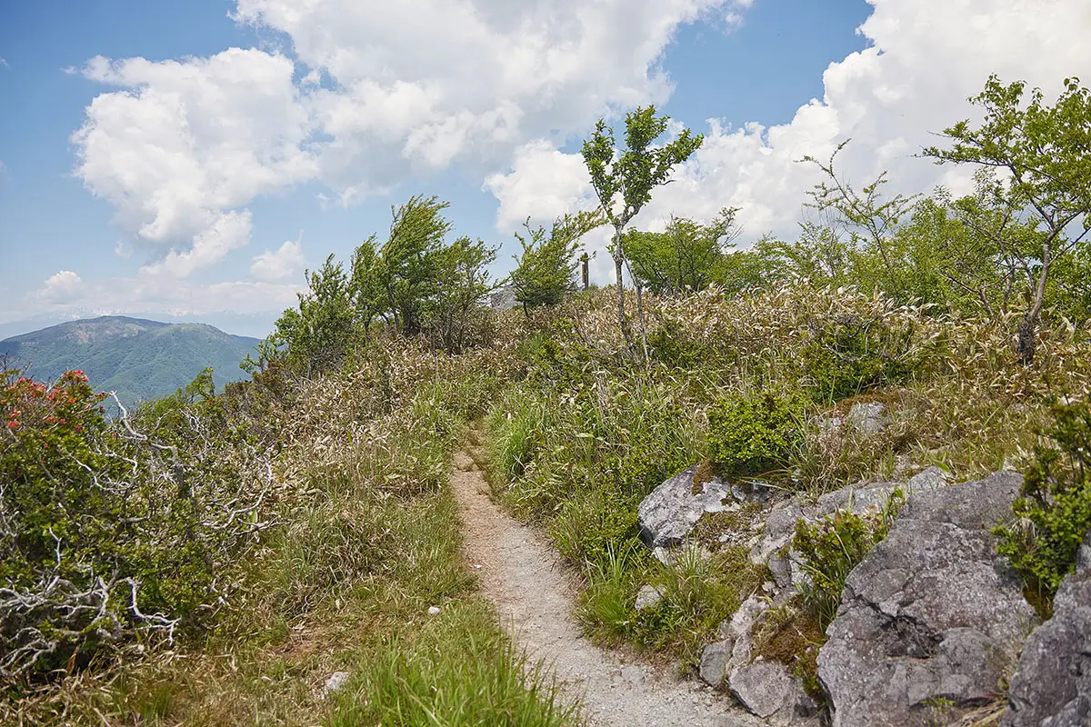 霧ヶ峰登山 霧ヶ峰-山頂標が見えた