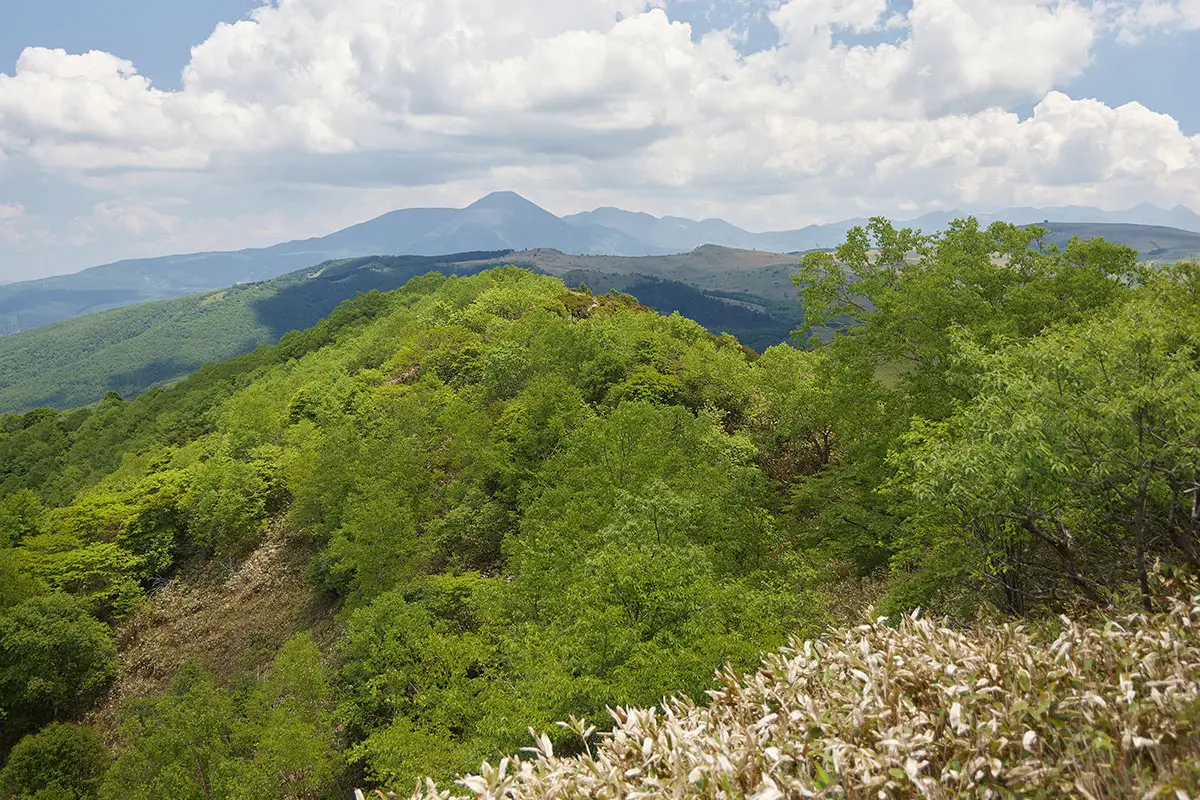 霧ヶ峰登山 霧ヶ峰-南側には蓼科山が見える