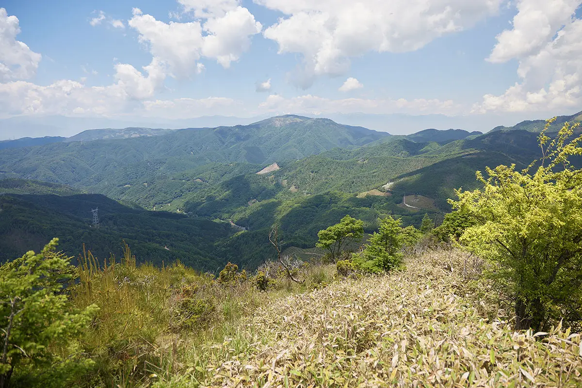 霧ヶ峰登山 霧ヶ峰-美ヶ原と岡谷の間には鉢伏山が見える