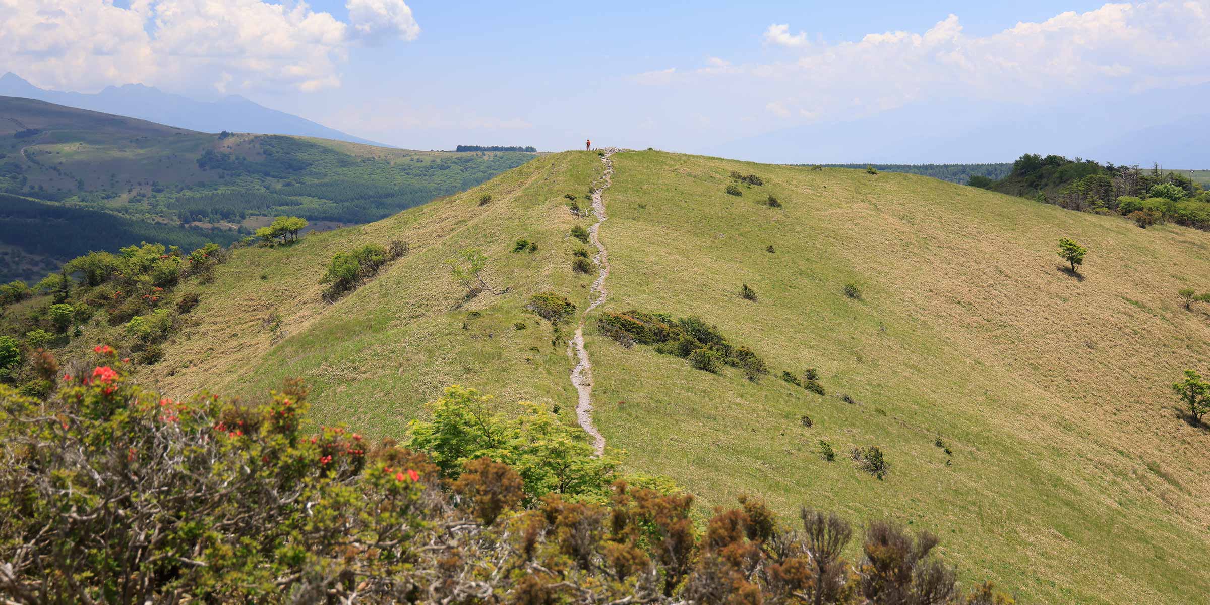鷲ヶ峰