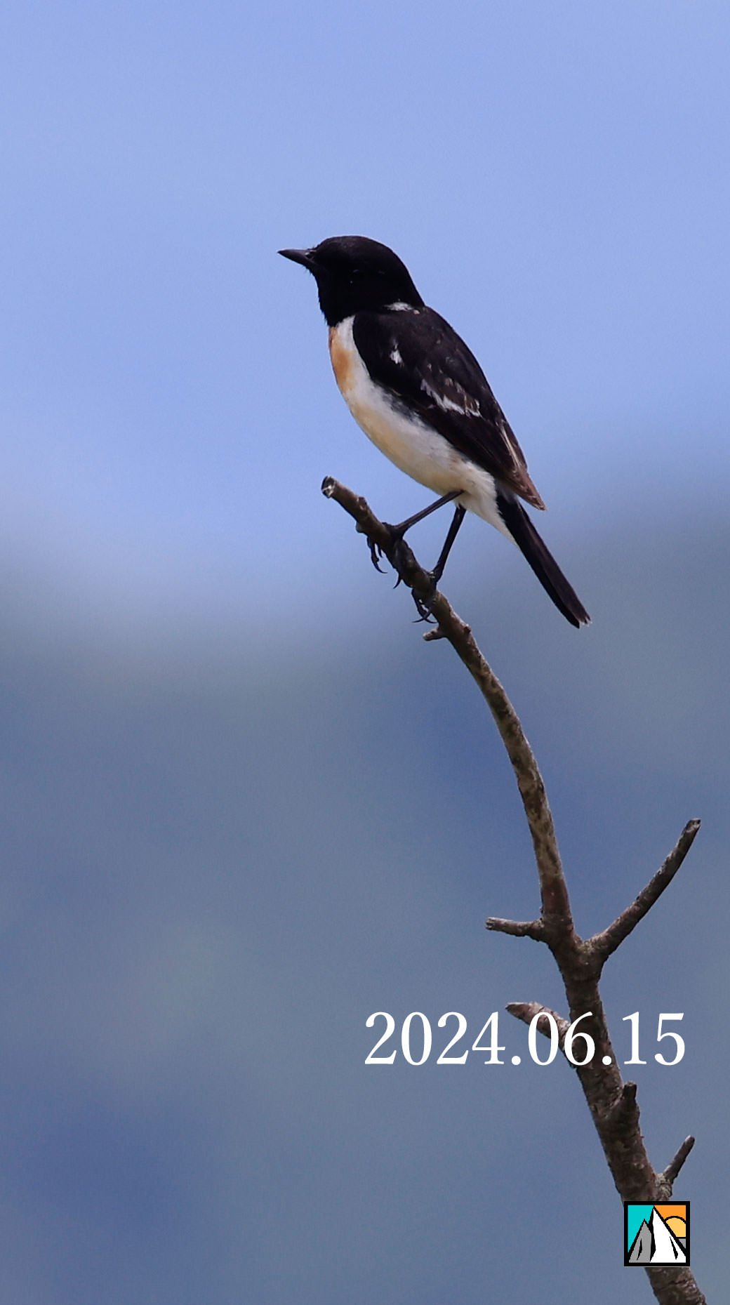 鷲ヶ峰 八島湿原