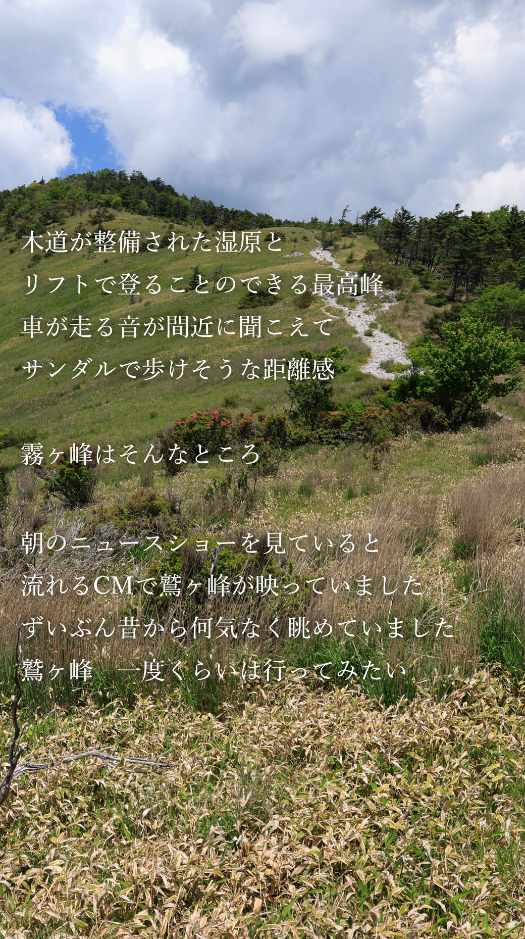 鷲ヶ峰 八島湿原