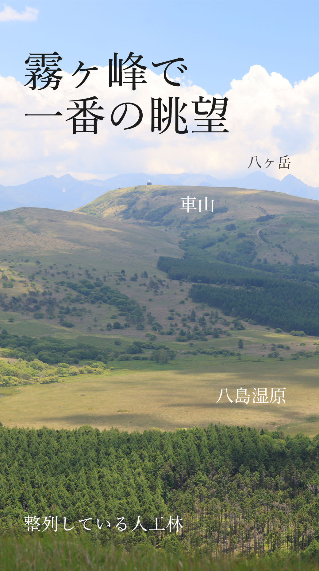 鷲ヶ峰 八島湿原