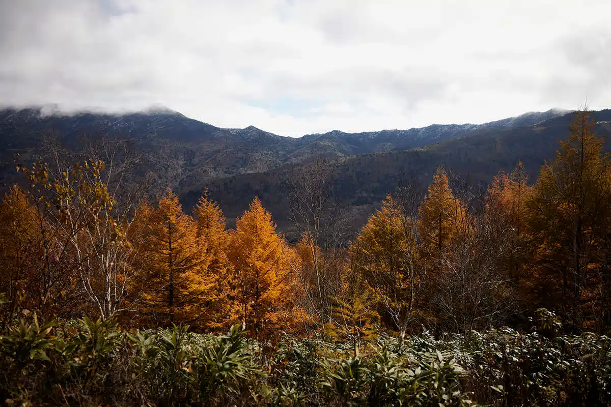 焼額山志賀高原登山 焼額山志賀高原-右側にある岩菅山がよく見える