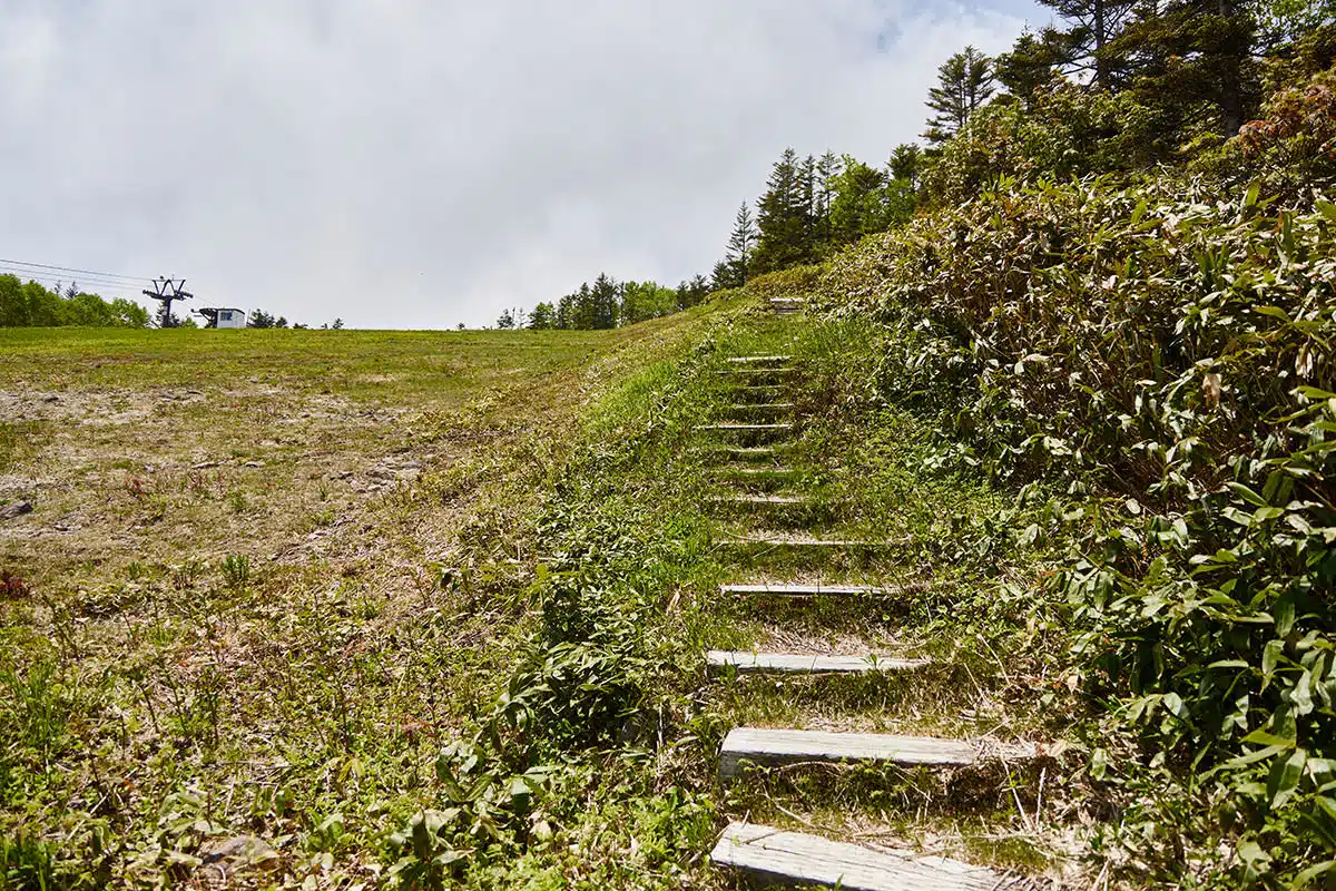 焼額山志賀高原登山 焼額山志賀高原-ゲレンデの横にある階段を登る