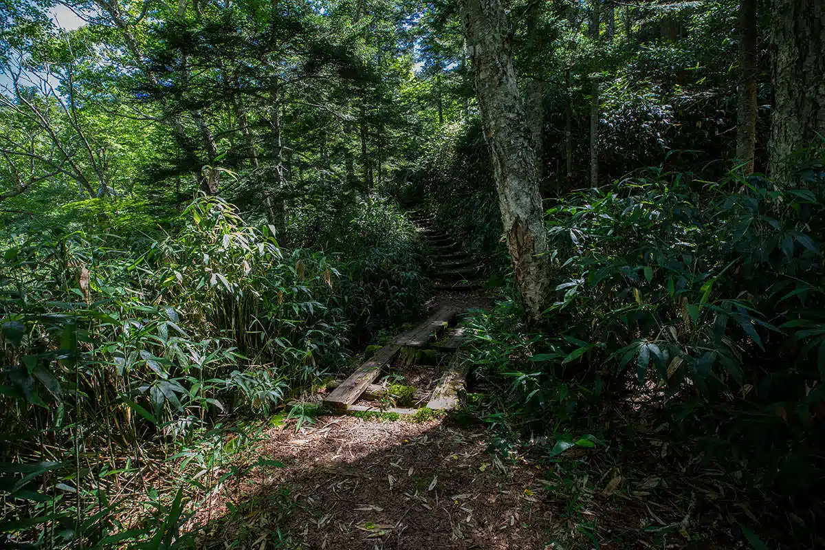 志賀高原横手山登山 志賀高原横手山-登山道に入ると階段が始まる