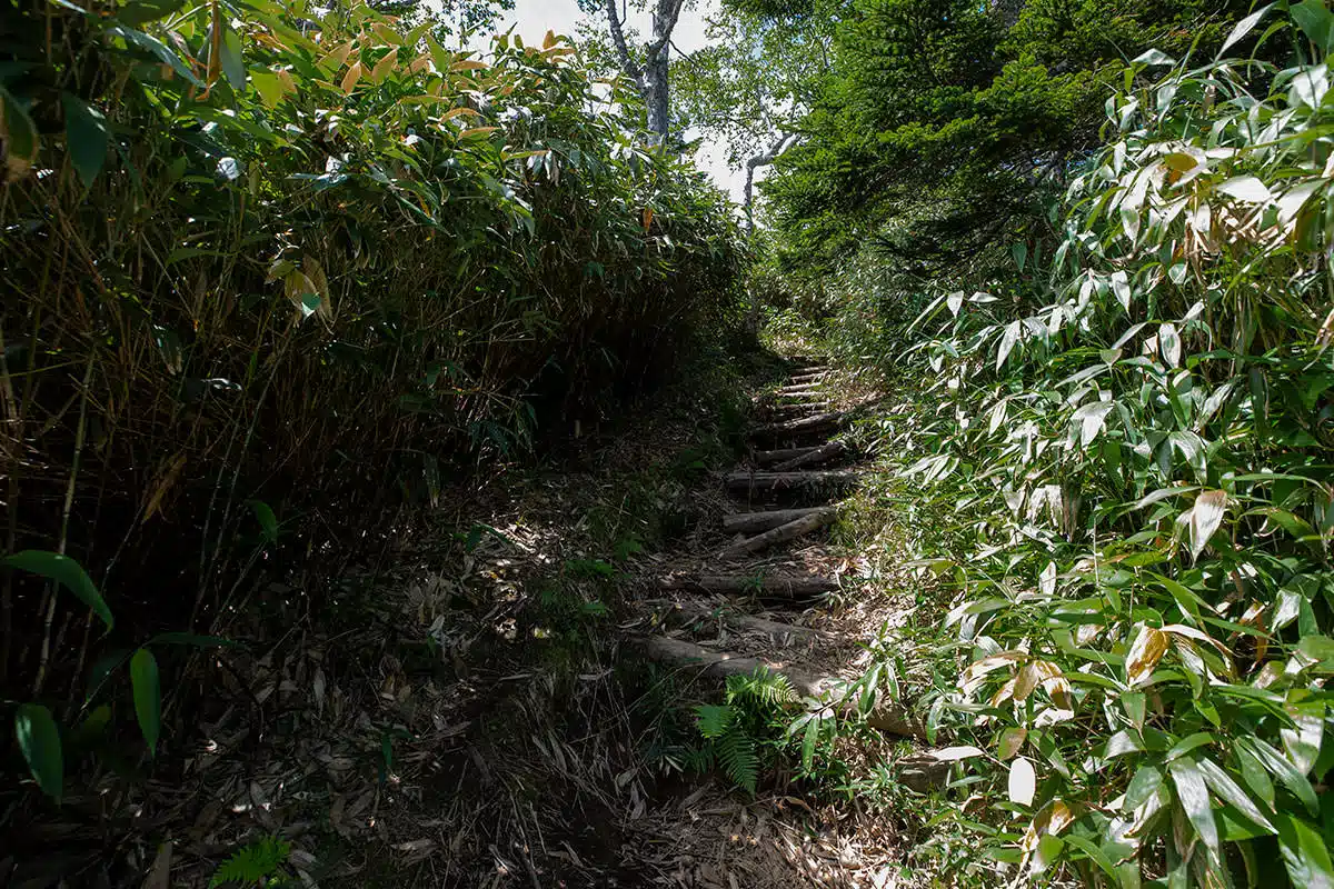 志賀高原横手山登山 志賀高原横手山-急な階段が続く