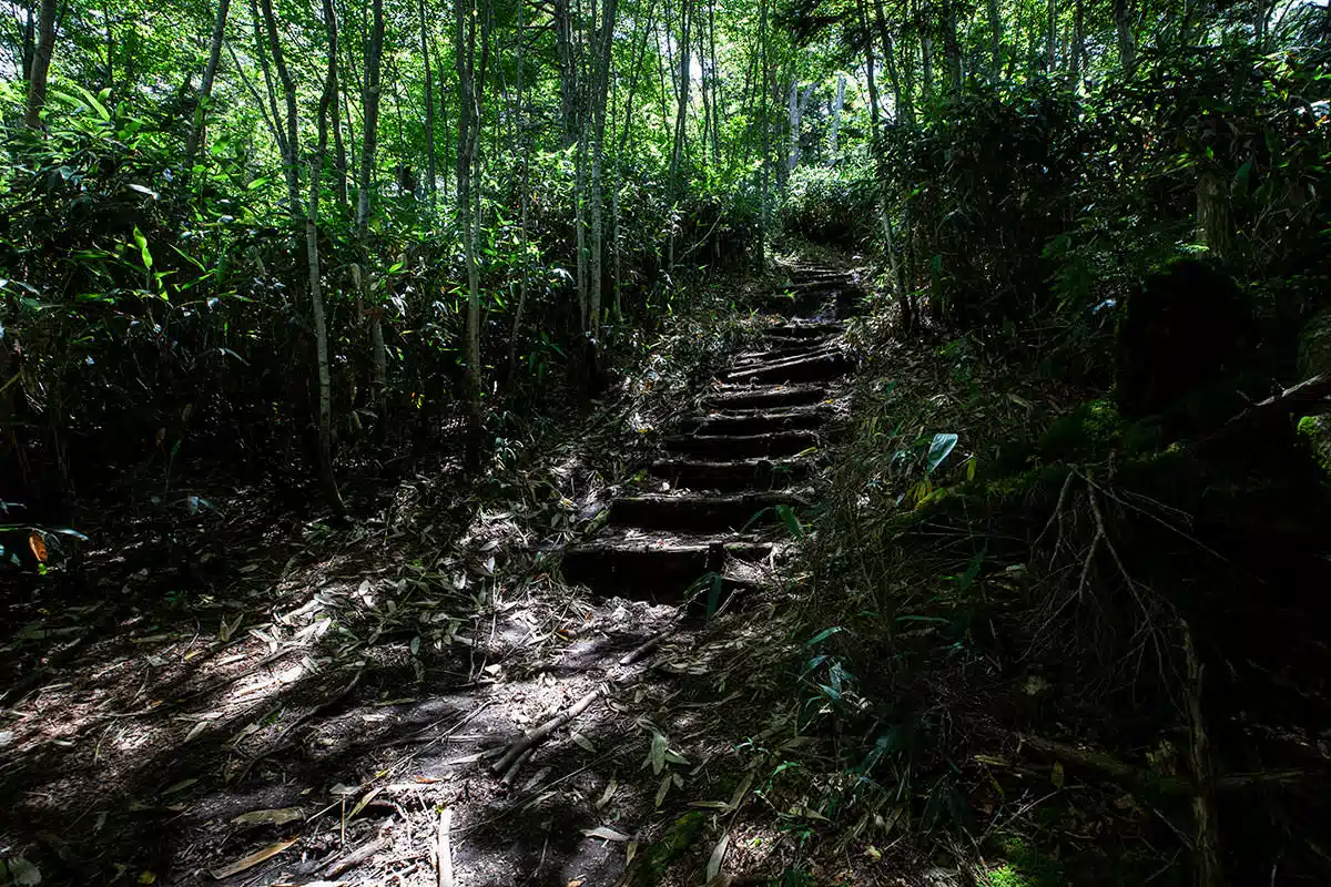 志賀高原横手山登山 志賀高原横手山-急な階段を登る