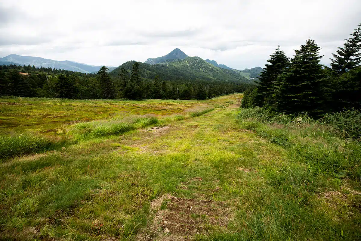 志賀高原横手山登山 志賀高原横手山-草が刈られていて歩きやすい