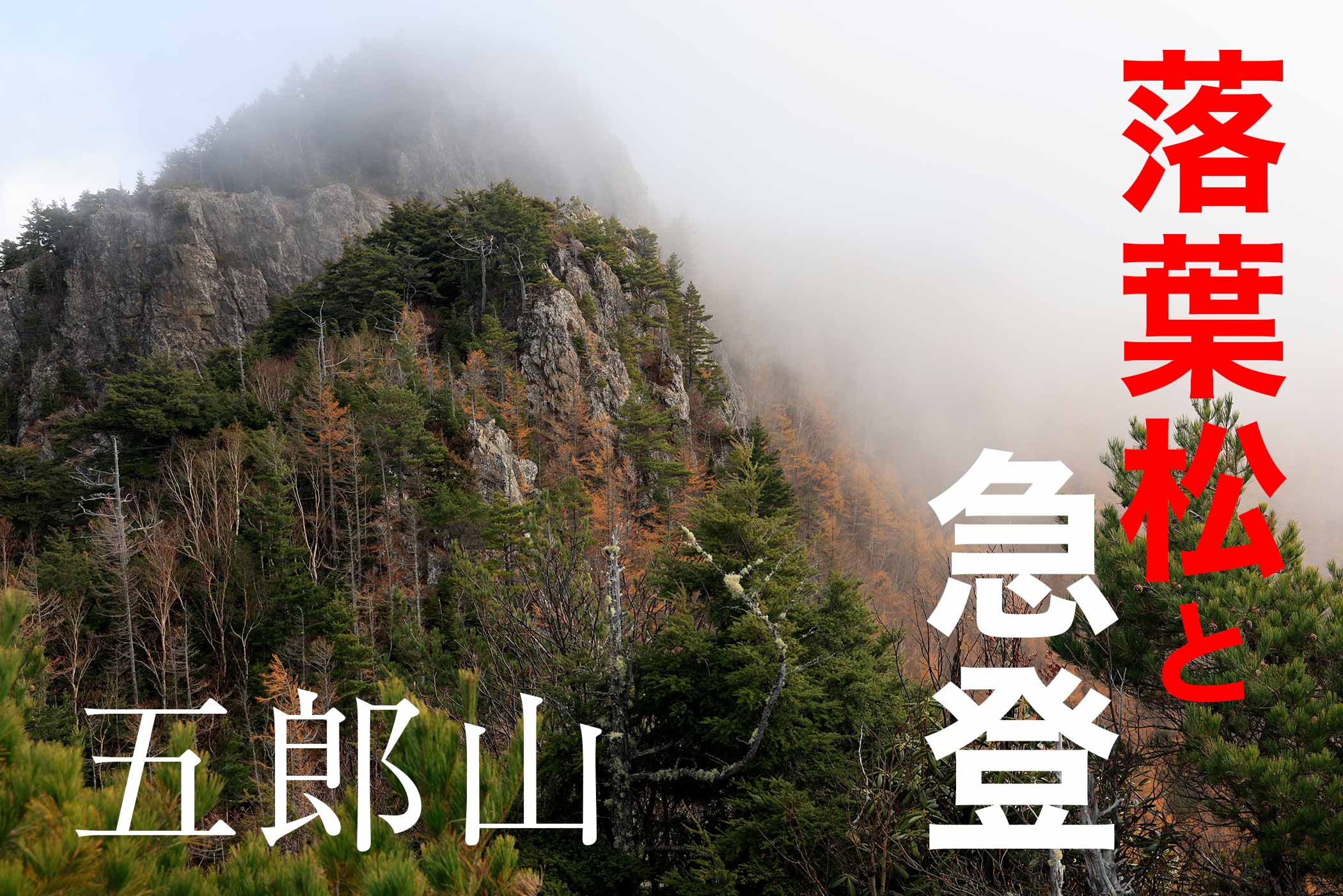 川上村へ紅葉を見にいく五郎山