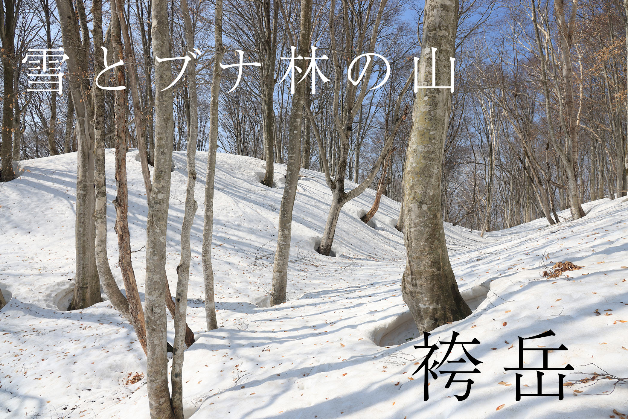 斑尾と峰を並べる雪と眺望の袴岳