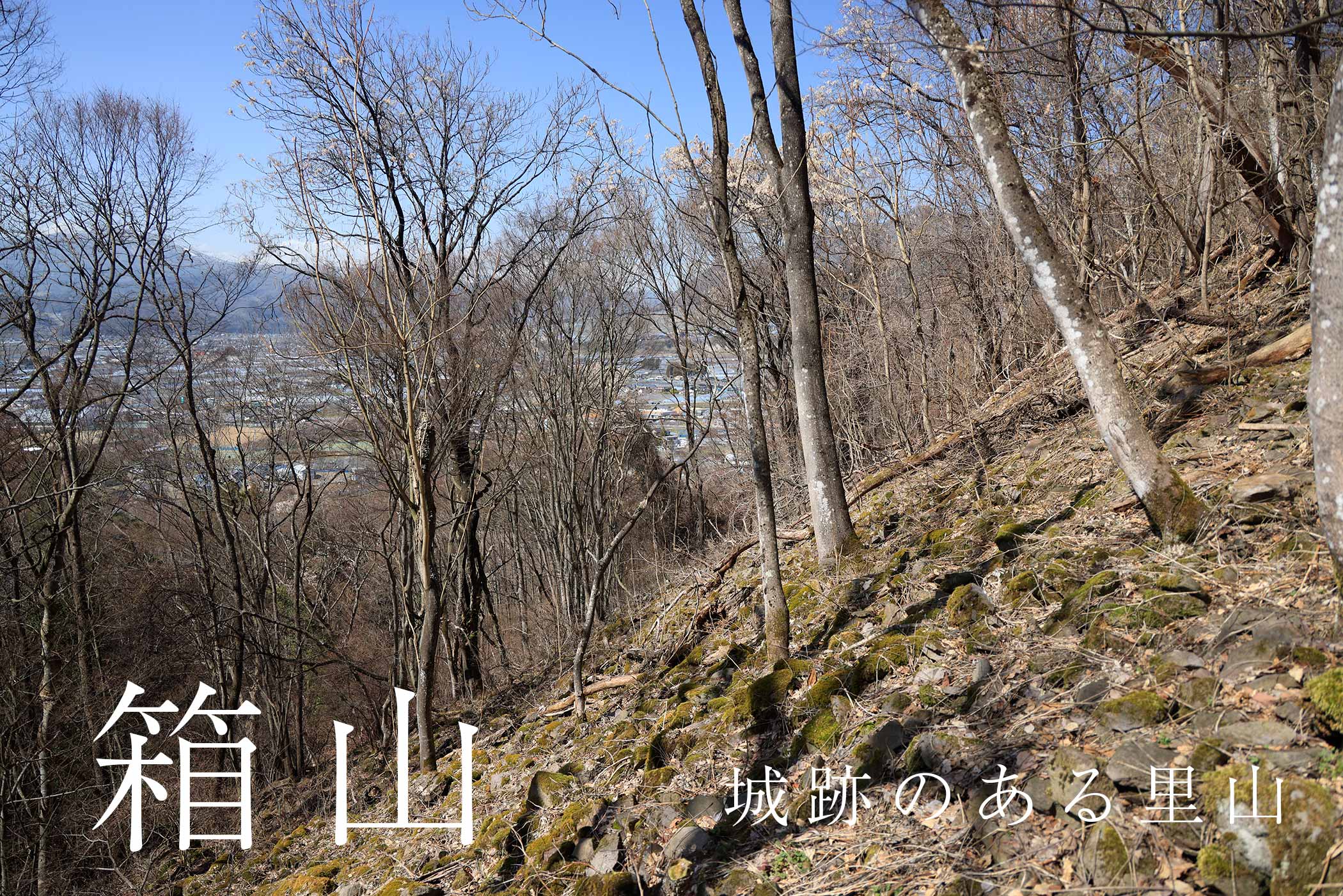城跡の箱山へ登る