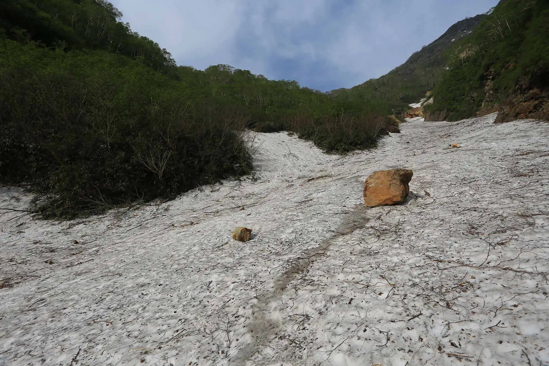 画廊池の平雪の道と妙高山 画廊池の平雪の道と妙高山 （妙高 杉