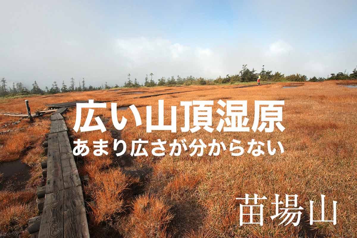 登山 苗場山の真っ赤になった湿原の広さ 登山百景