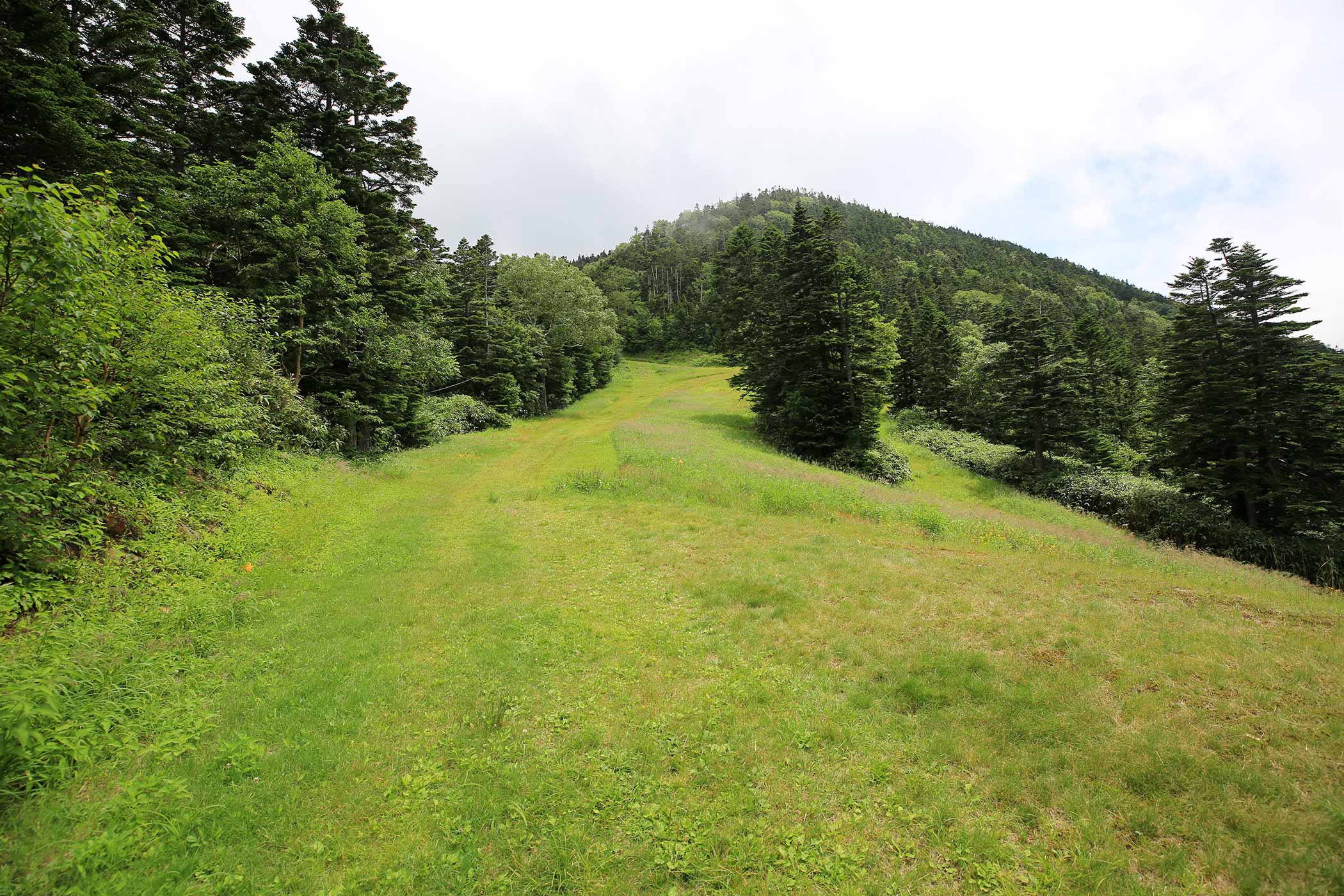 登山 夏の志賀高原 横手山ハイキング 登山百景